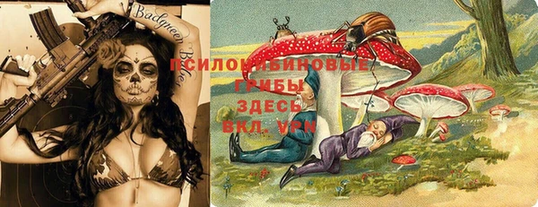 гидра Арсеньев