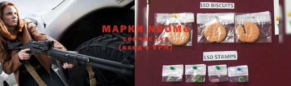 гидра Арсеньев
