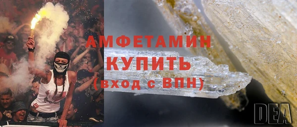 гидра Арсеньев