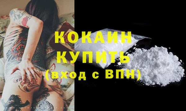 сатива Аркадак